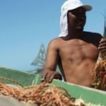 pescador