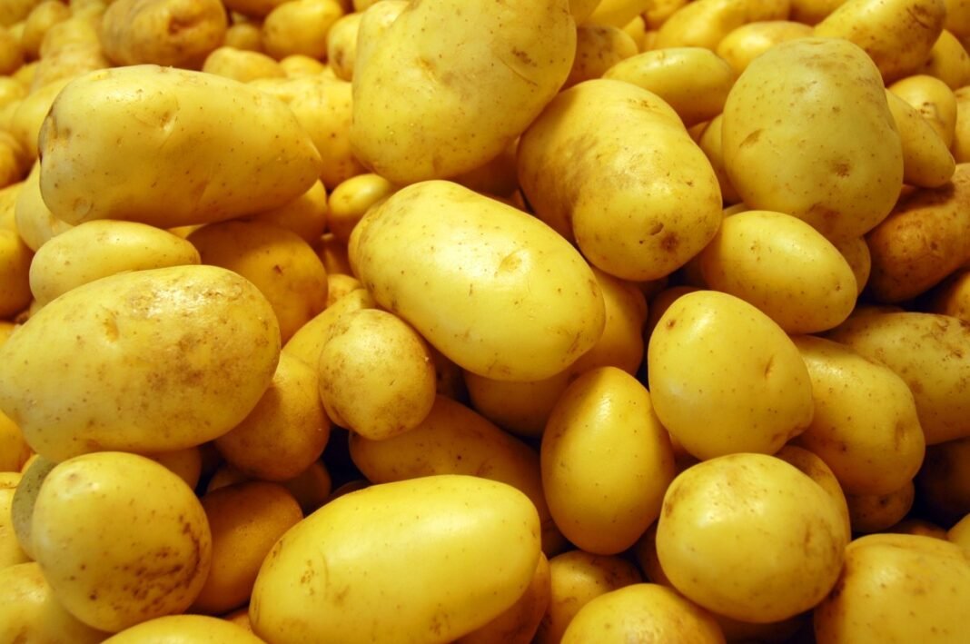 batata