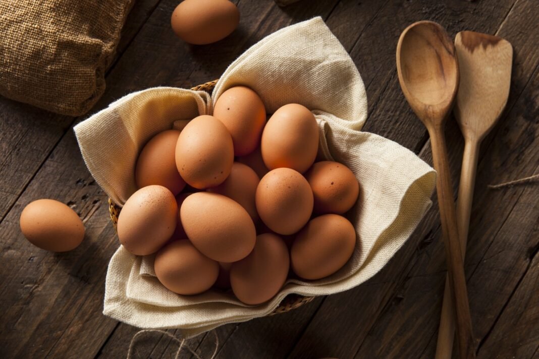 ovos