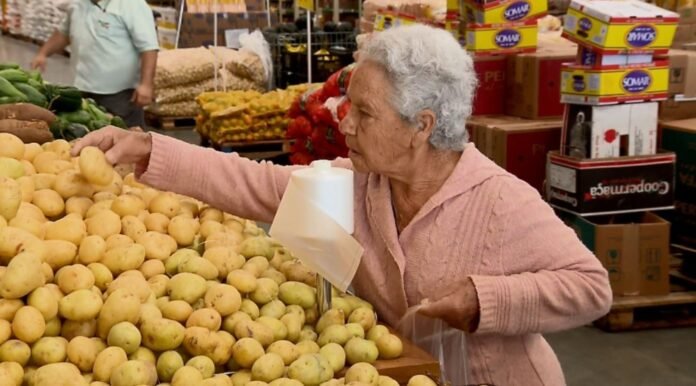 cebolas