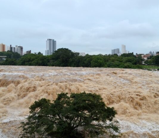 Após 60 milímetros de chuva em 12 horas, Rio Piracicaba entra em estado de atenção