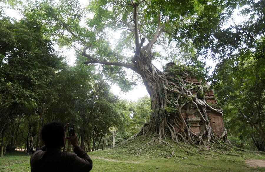 templo-tomado-pela-natureza-28102745880039