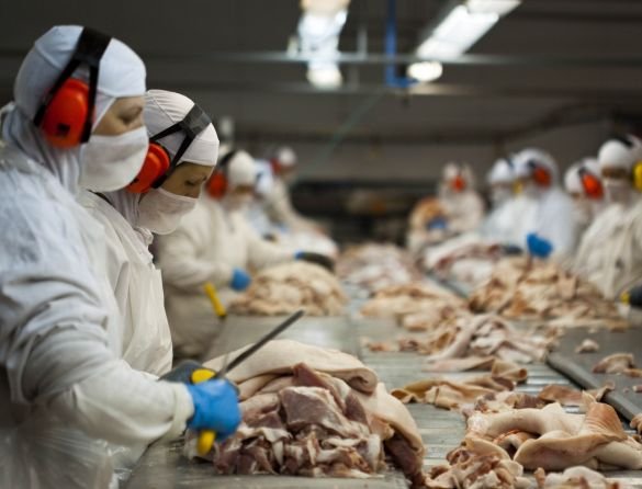 alimentos