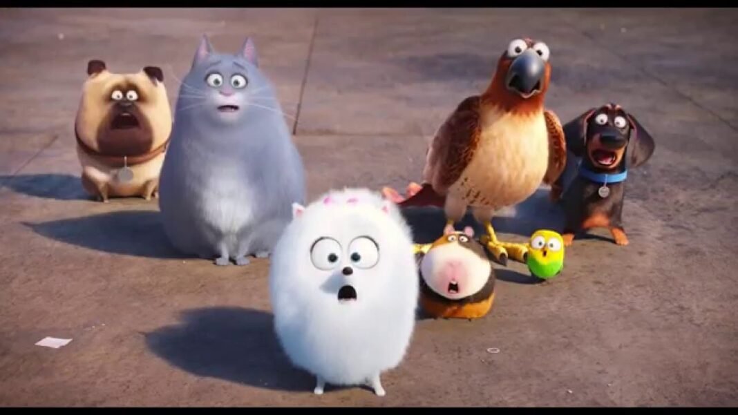 pets
