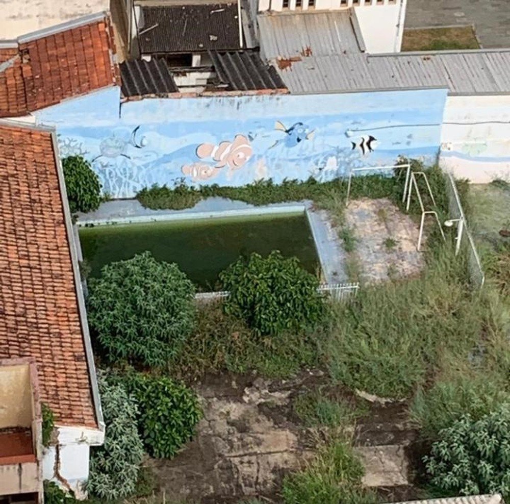piscina dengue