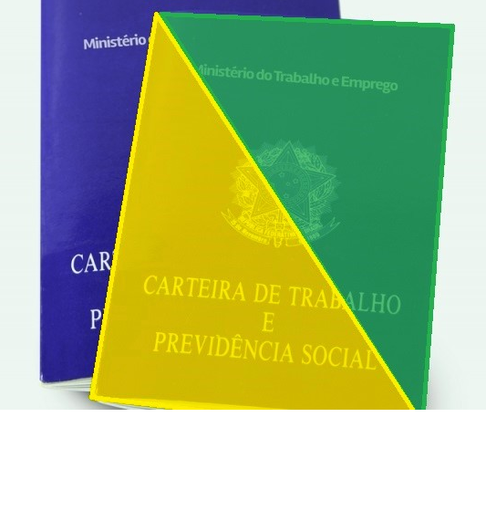 carteira verde e amarelo