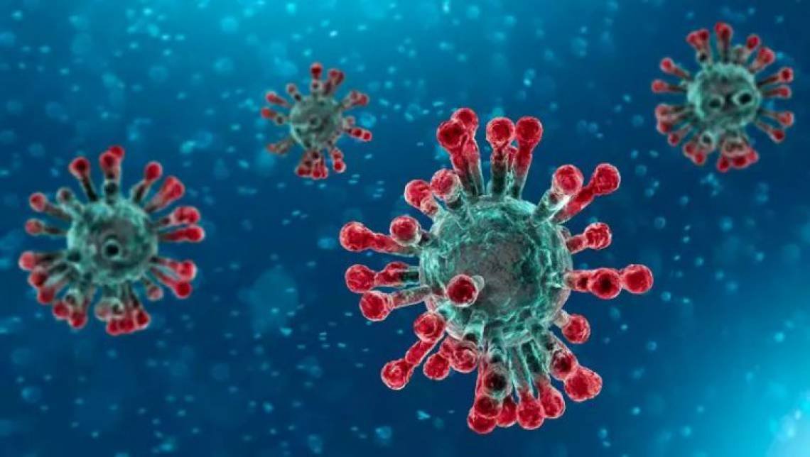 virus