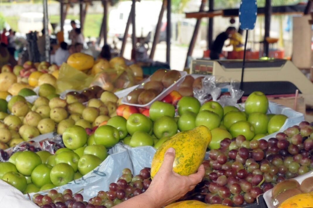 verduras