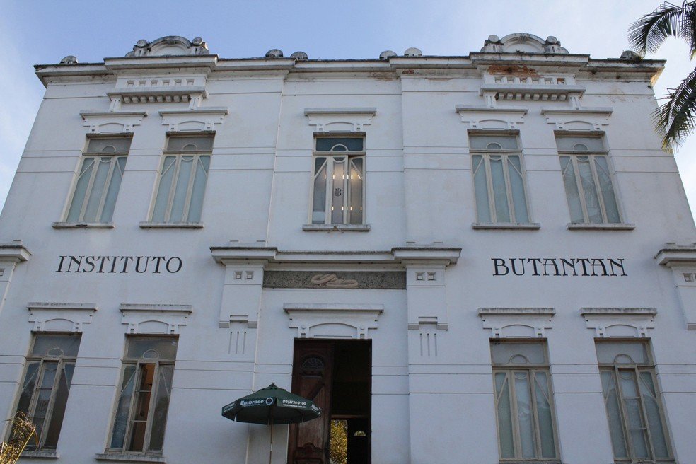 instituto