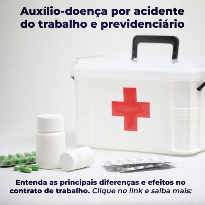 artigo-4-8-22