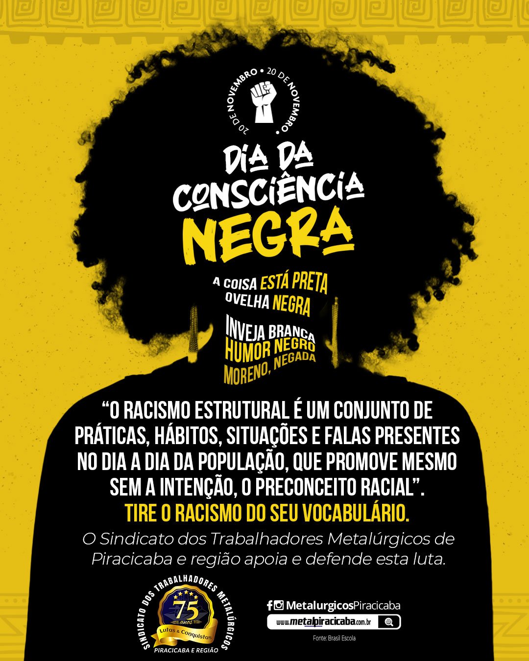 O Dia Nacional da Consciência Negra é celebrado, no Brasil, em 20 de  novembro – Diretoria de Ensino – Região de Piracicaba